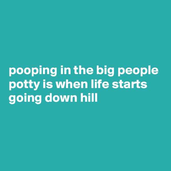 



pooping in the big people potty is when life starts going down hill  



