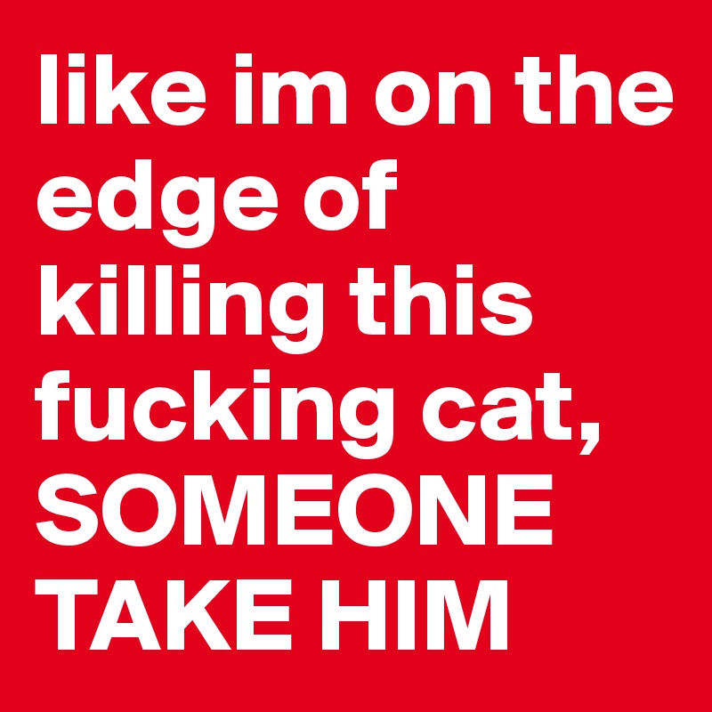 like im on the edge of killing this fucking cat, SOMEONE TAKE HIM