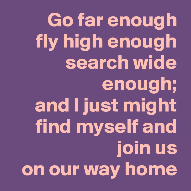 Go far enough
fly high enough search wide enough;
and I just might find myself and join us
on our way home