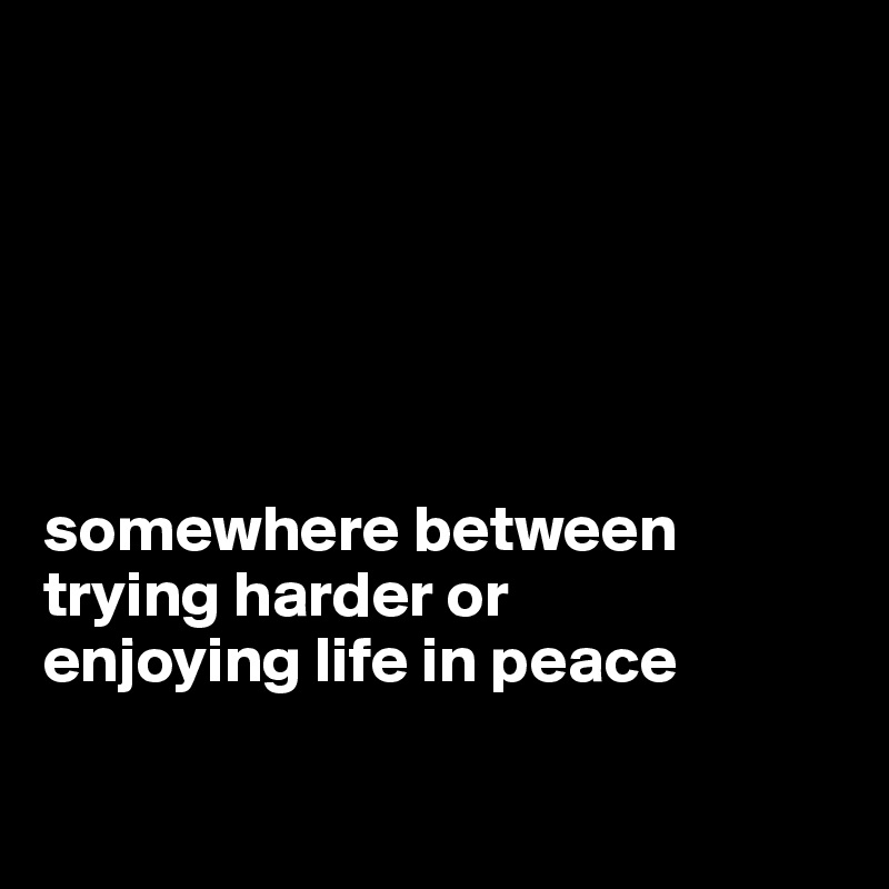 






somewhere between trying harder or
enjoying life in peace


