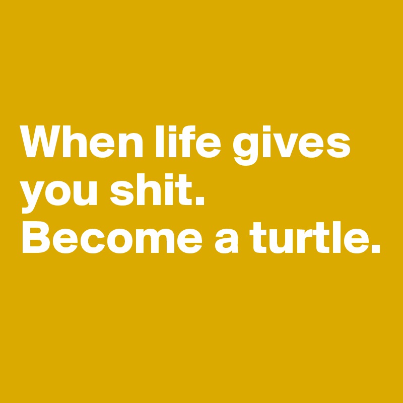 

When life gives you shit.
Become a turtle.

