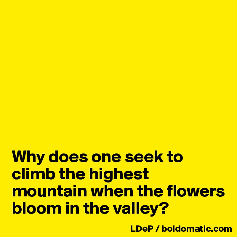 







Why does one seek to climb the highest mountain when the flowers bloom in the valley?
