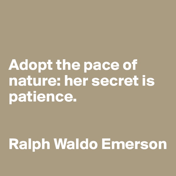 


Adopt the pace of nature: her secret is patience.


Ralph Waldo Emerson