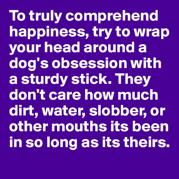 To truly comprehend happiness, try to wrap your head around a dog's obsession with a sturdy stick. They don't care how much dirt, water, slobber, or other mouths its been in so long as its theirs. 