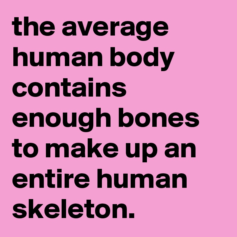 the average human body contains enough bones to make up an entire human skeleton.