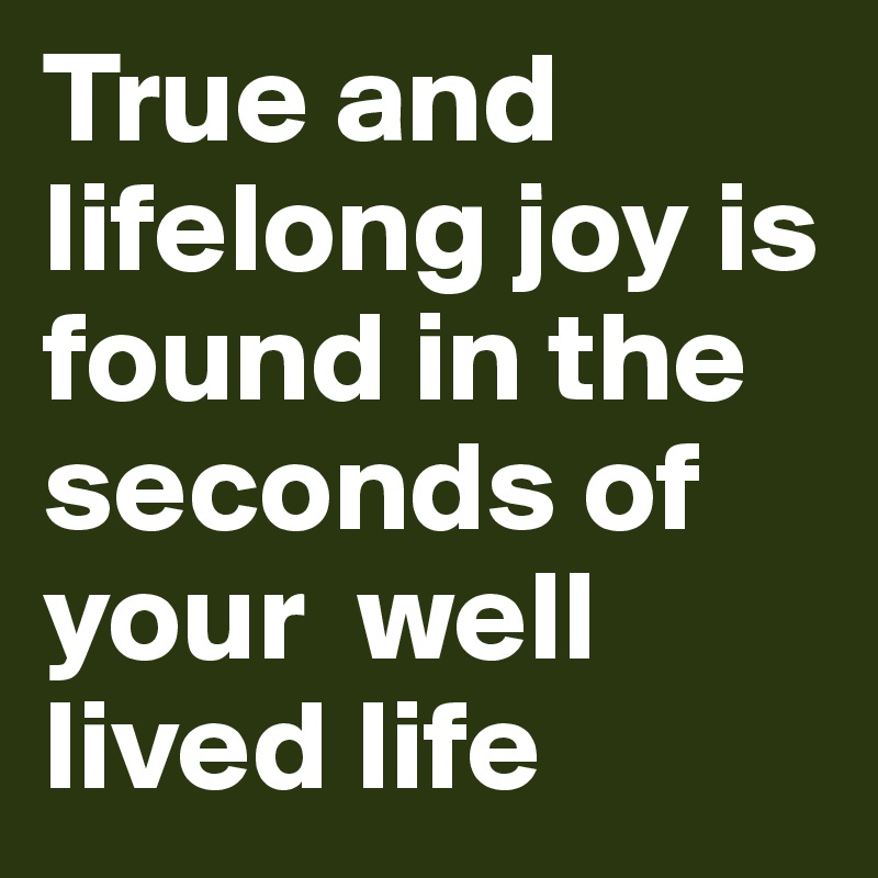 True and lifelong joy is found in the seconds of your  well lived life