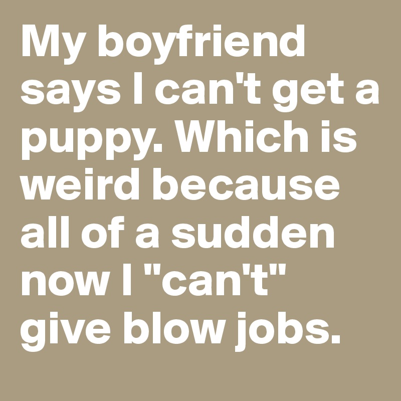 My boyfriend says I can't get a puppy. Which is weird because all of a sudden now I "can't" give blow jobs. 