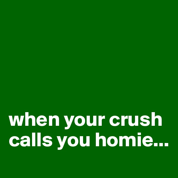 




when your crush calls you homie... 