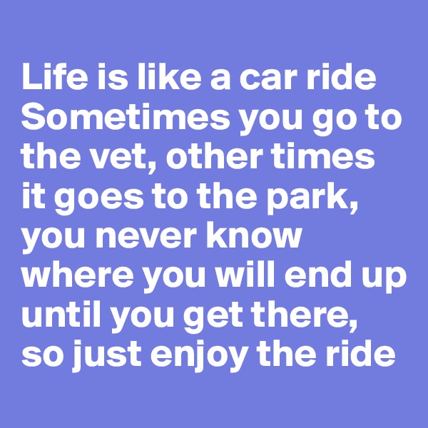 
Life is like a car ride Sometimes you go to the vet, other times it goes to the park, you never know where you will end up until you get there, so just enjoy the ride
