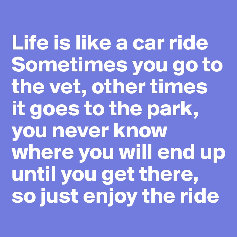 
Life is like a car ride Sometimes you go to the vet, other times it goes to the park, you never know where you will end up until you get there, so just enjoy the ride