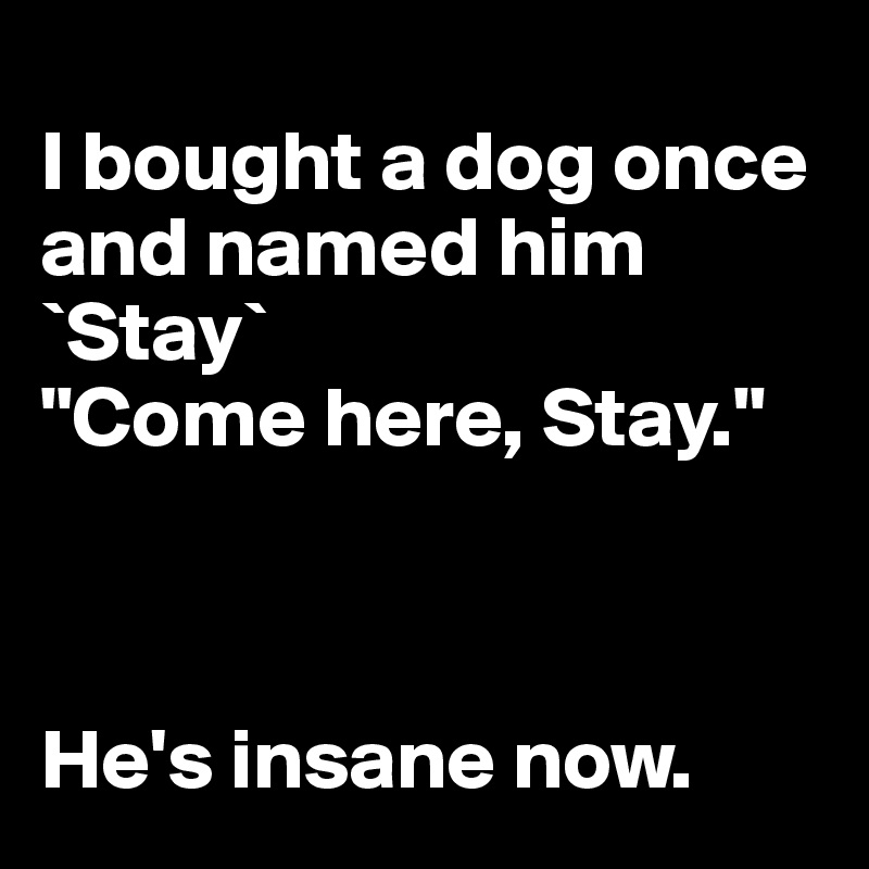 
I bought a dog once and named him `Stay`
"Come here, Stay."



He's insane now. 