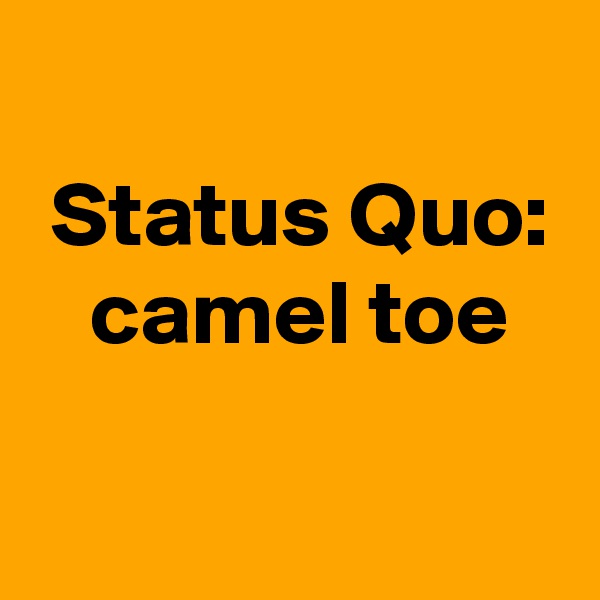 
 Status Quo:
 camel toe

