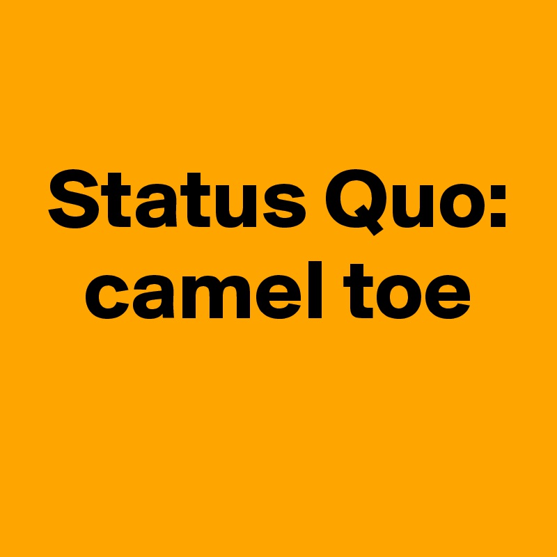 
 Status Quo:
 camel toe

