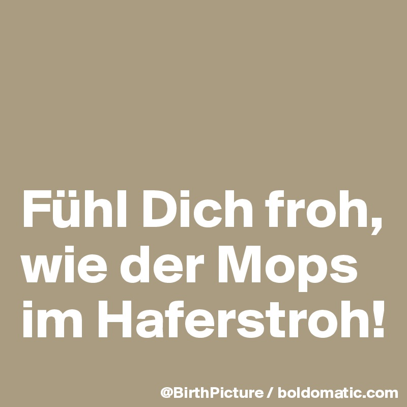 


Fühl Dich froh, 
wie der Mops im Haferstroh!