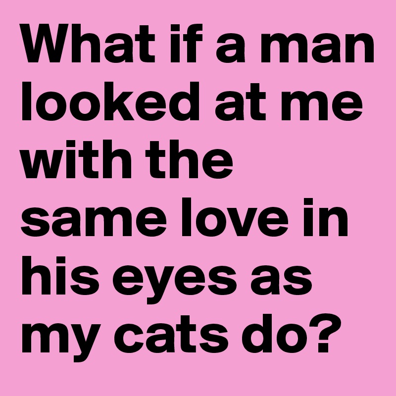 What if a man looked at me with the same love in his eyes as my cats do? 