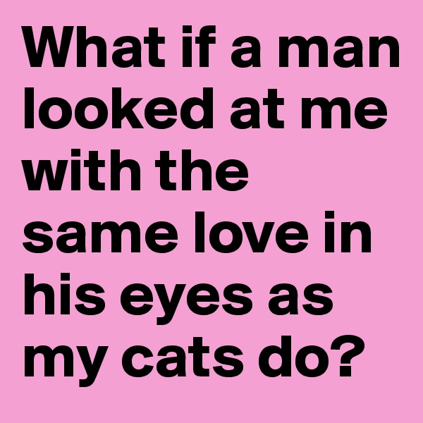 What if a man looked at me with the same love in his eyes as my cats do? 