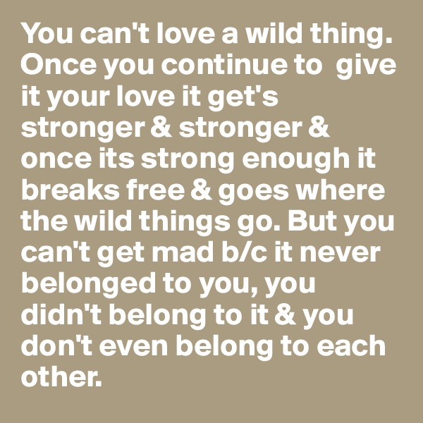 You can't love a wild thing. Once you continue to  give it your love it get's stronger & stronger & once its strong enough it breaks free & goes where the wild things go. But you can't get mad b/c it never belonged to you, you didn't belong to it & you don't even belong to each other.