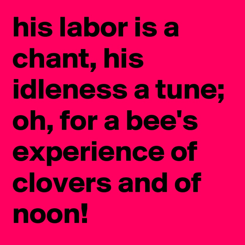 his labor is a chant, his idleness a tune; oh, for a bee's experience of clovers and of noon!
