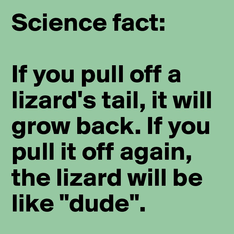 Science fact: 

If you pull off a lizard's tail, it will grow back. If you pull it off again, the lizard will be like "dude". 