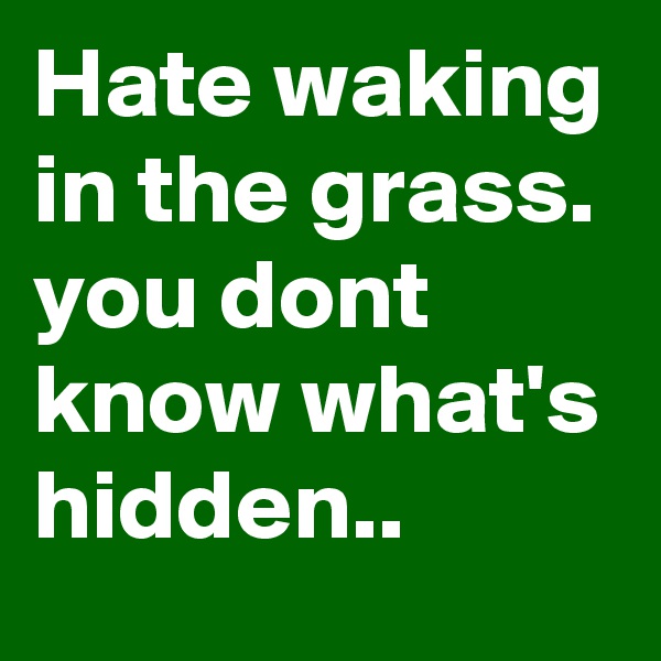 Hate waking in the grass. 
you dont know what's hidden..