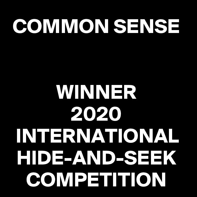COMMON SENSE


WINNER
2020 INTERNATIONAL HIDE-AND-SEEK
COMPETITION