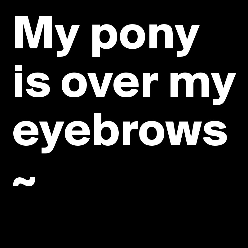 My pony is over my eyebrows~