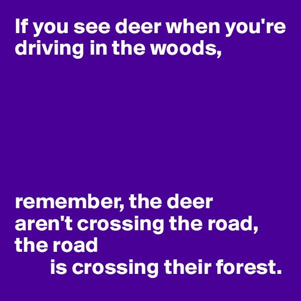 If you see deer when you're driving in the woods,






remember, the deer
aren't crossing the road, the road
        is crossing their forest.