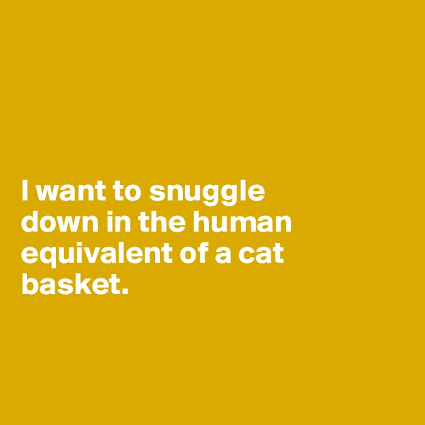 




I want to snuggle 
down in the human equivalent of a cat 
basket.


