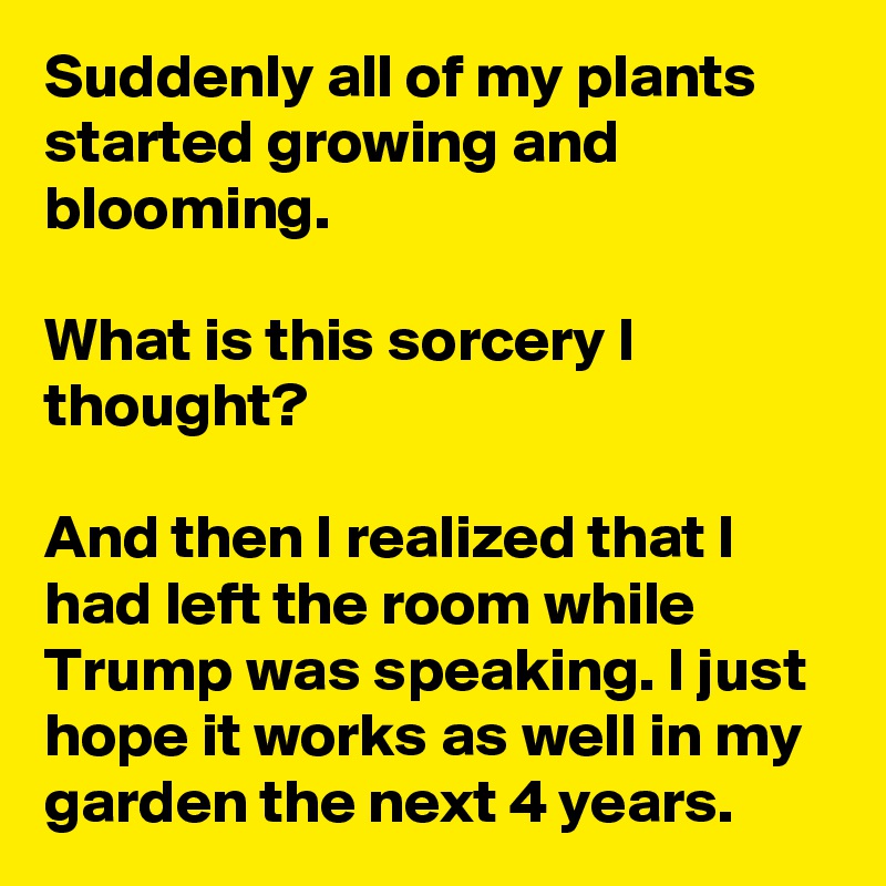 Suddenly all of my plants started growing and blooming.

What is this sorcery I thought?

And then I realized that I had left the room while Trump was speaking. I just hope it works as well in my garden the next 4 years.