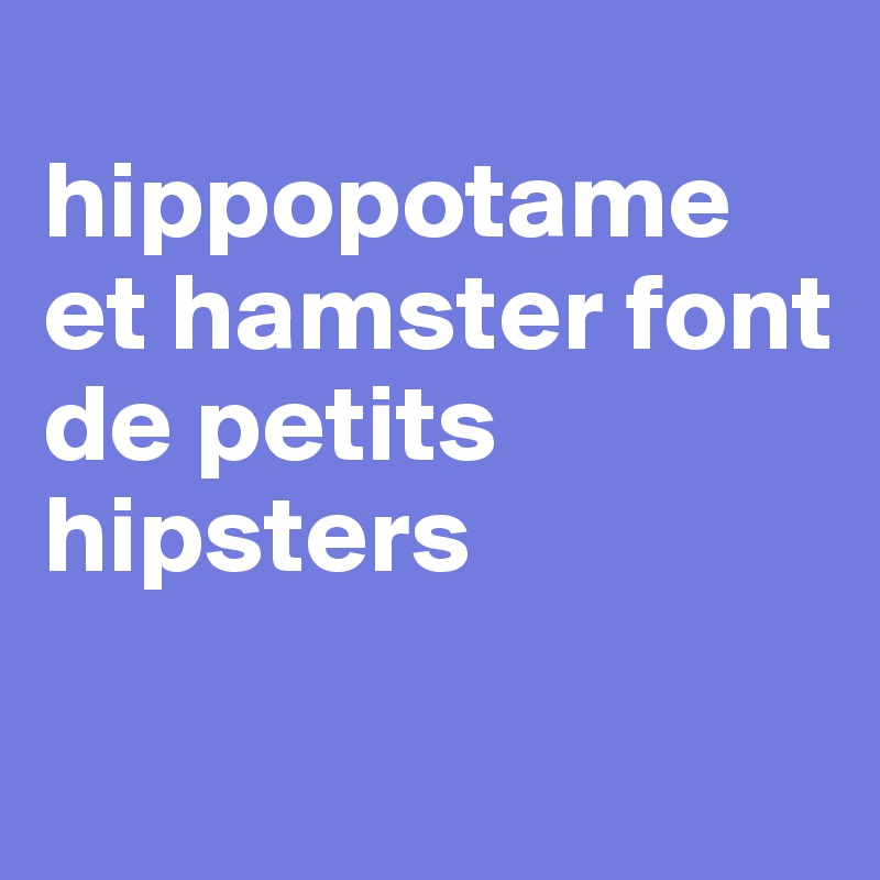 
hippopotame et hamster font de petits hipsters


