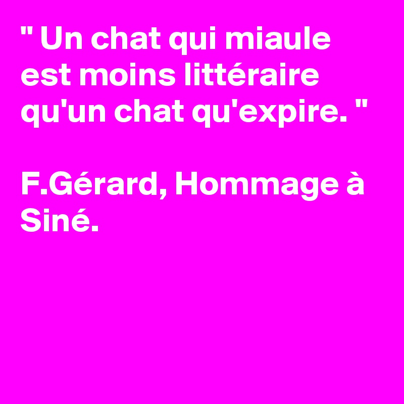 " Un chat qui miaule est moins littéraire qu'un chat qu'expire. " 

F.Gérard, Hommage à Siné.


