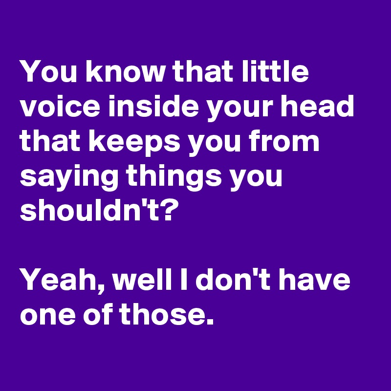 
You know that little voice inside your head that keeps you from saying things you shouldn't?

Yeah, well I don't have one of those.
