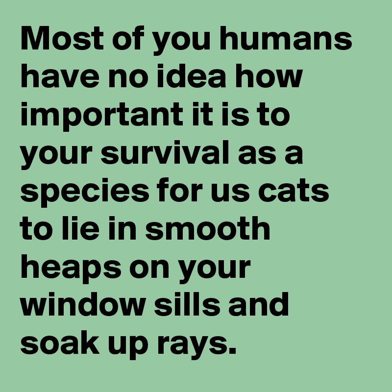 Most of you humans have no idea how important it is to your survival as a species for us cats to lie in smooth heaps on your window sills and soak up rays.