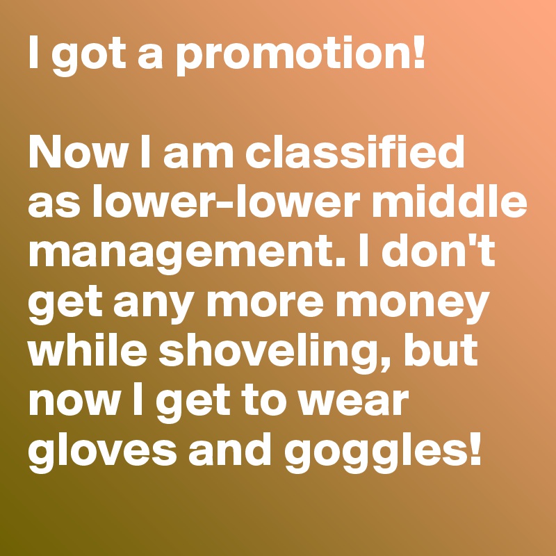 I got a promotion! 

Now I am classified as lower-lower middle management. I don't get any more money while shoveling, but now I get to wear gloves and goggles!