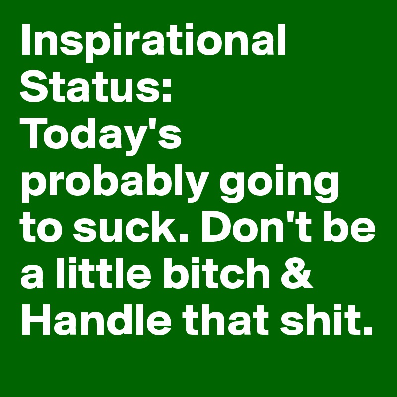 Inspirational Status: 
Today's probably going to suck. Don't be a little bitch & Handle that shit. 