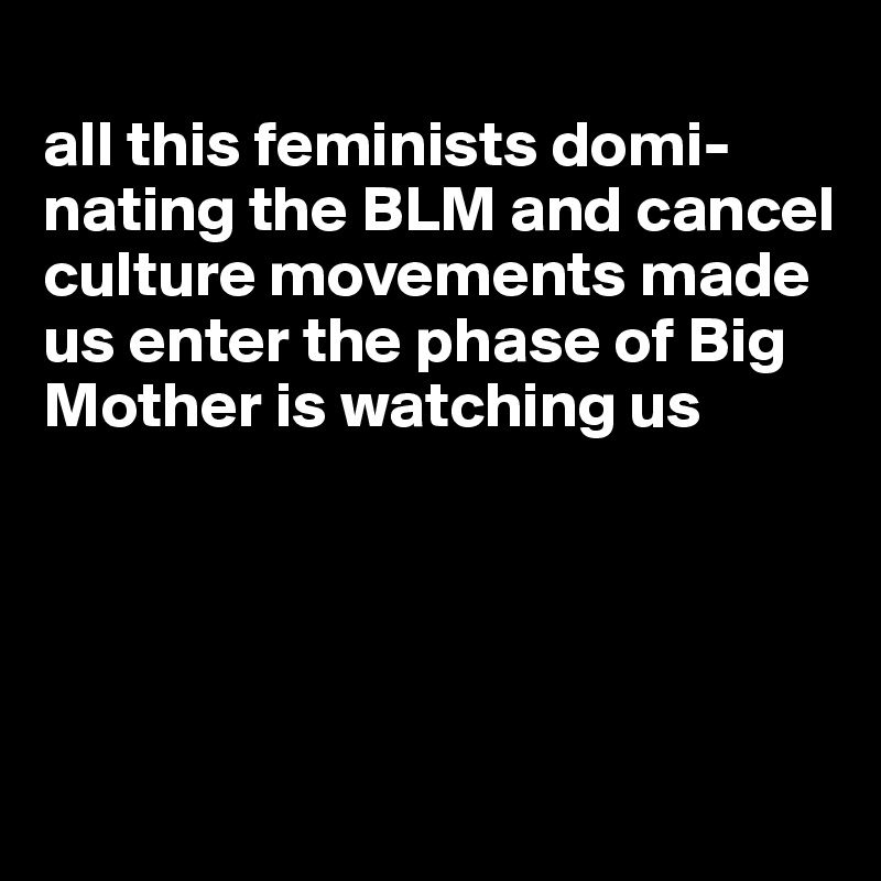 
all this feminists domi-nating the BLM and cancel culture movements made us enter the phase of Big Mother is watching us




