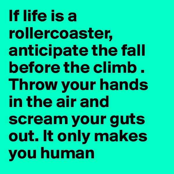 If life is a rollercoaster, anticipate the fall before the climb . Throw your hands in the air and scream your guts out. It only makes you human