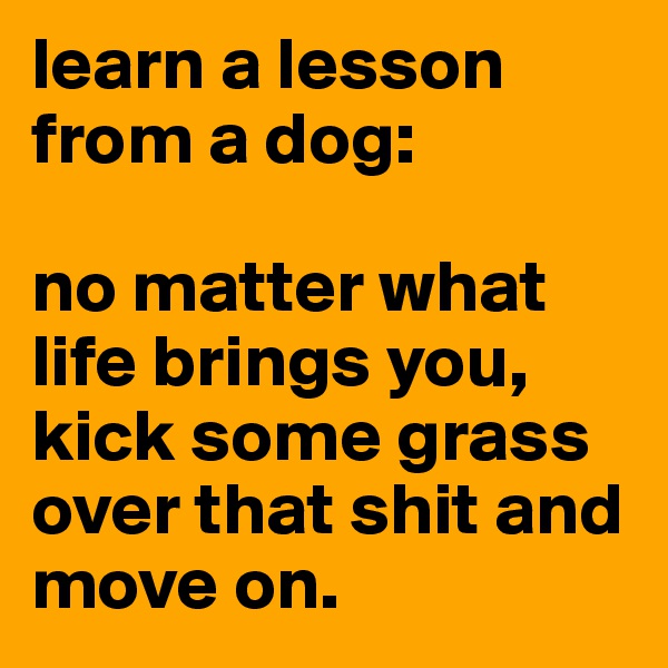 learn a lesson from a dog: 

no matter what life brings you, kick some grass over that shit and move on.