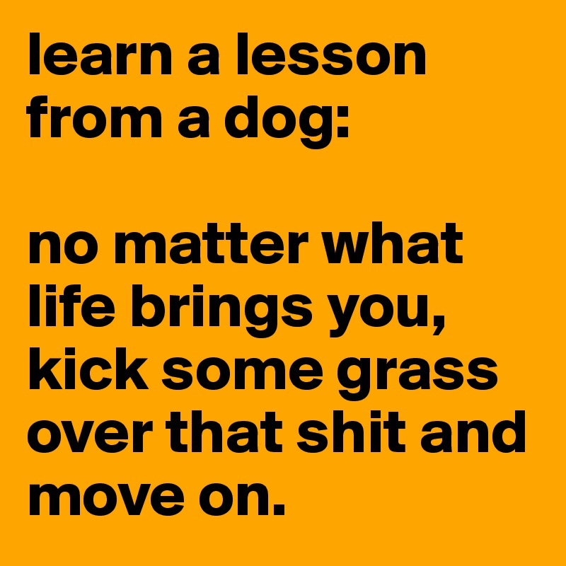 learn a lesson from a dog: 

no matter what life brings you, kick some grass over that shit and move on.