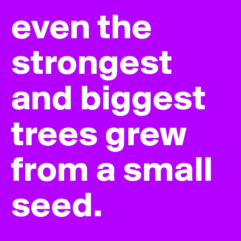 even the strongest and biggest trees grew from a small seed.