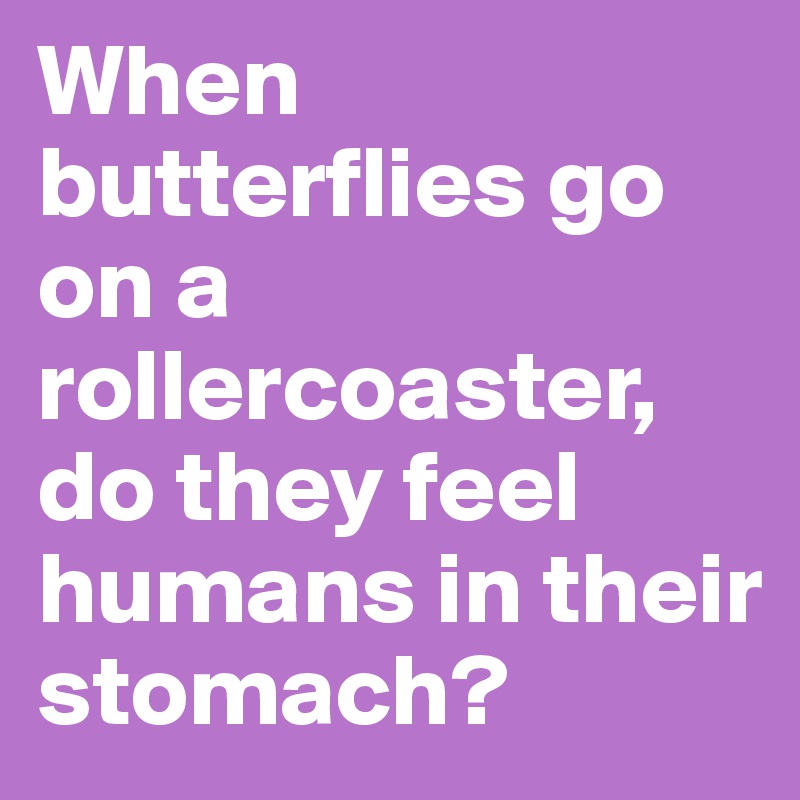 When butterflies go on a rollercoaster, do they feel humans in their stomach?