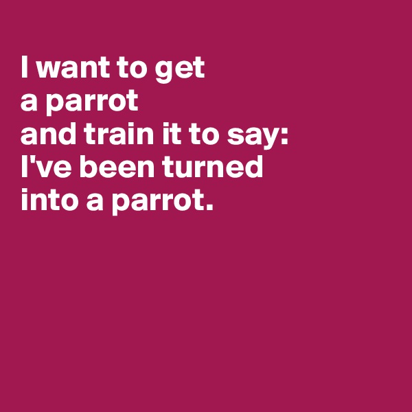 
I want to get 
a parrot 
and train it to say: 
I've been turned 
into a parrot. 




