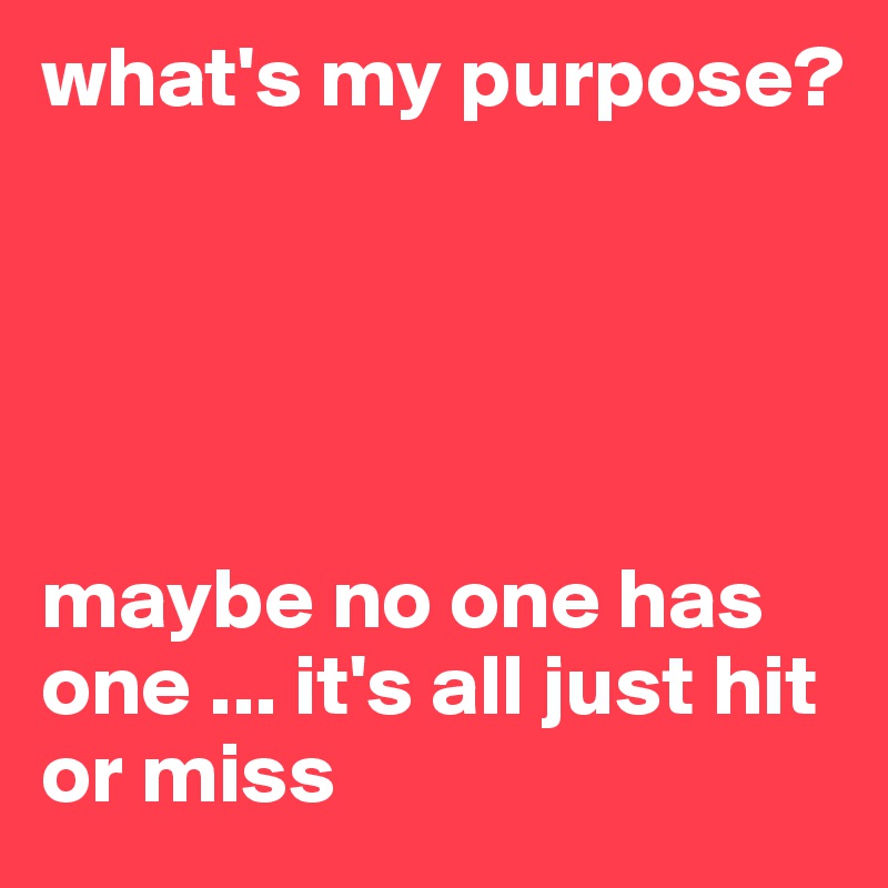 what's my purpose? 





maybe no one has one ... it's all just hit or miss 