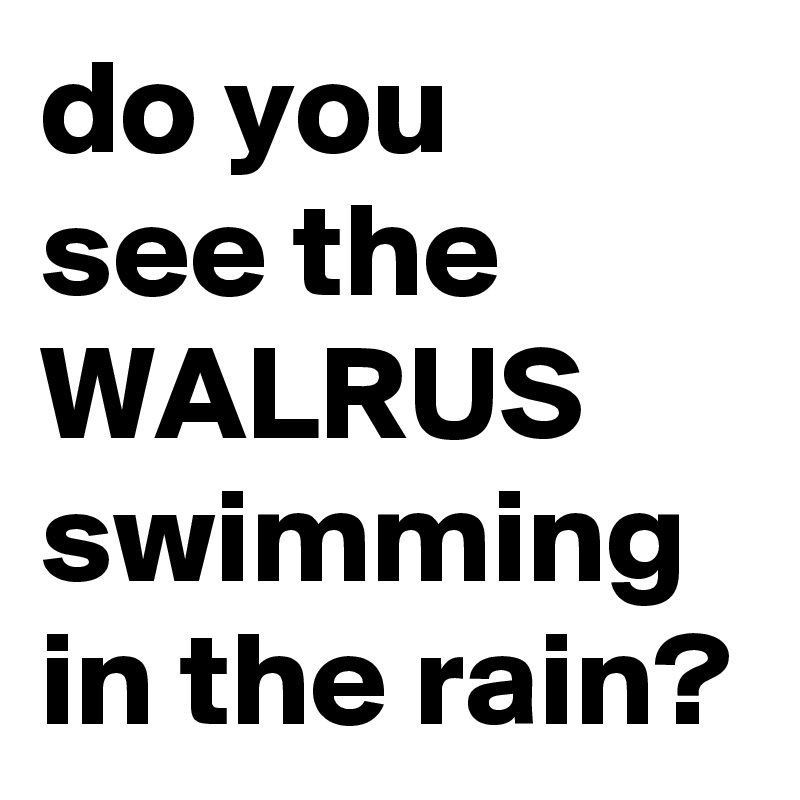 do you   see the WALRUS swimming in the rain?