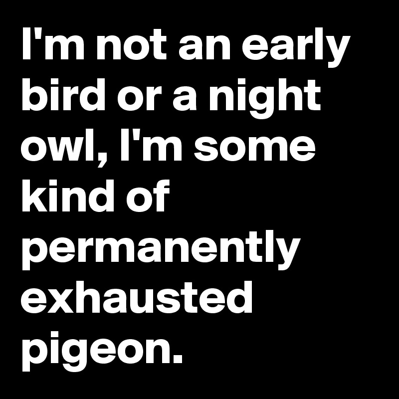 I'm not an early bird or a night owl, I'm some kind of permanently ...