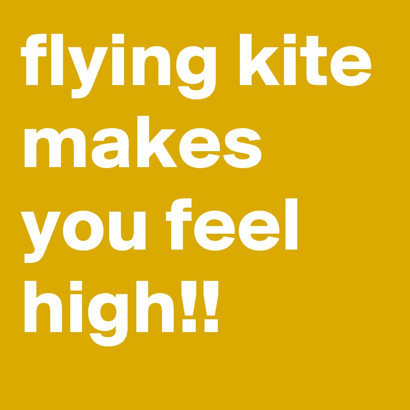 flying kite makes you feel high!!