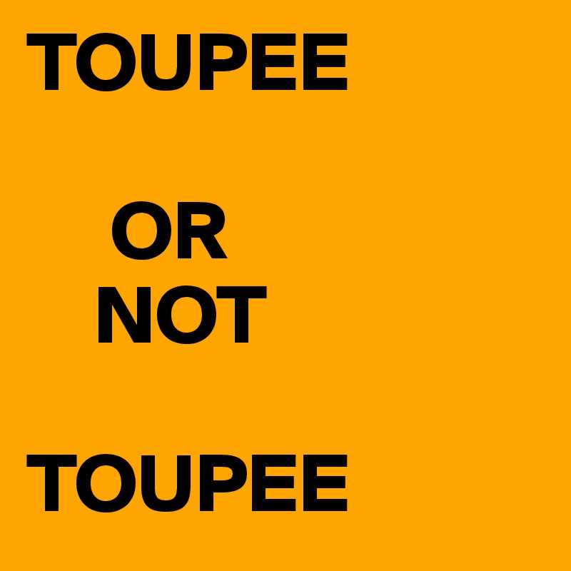 TOUPEE

     OR 
    NOT

TOUPEE 