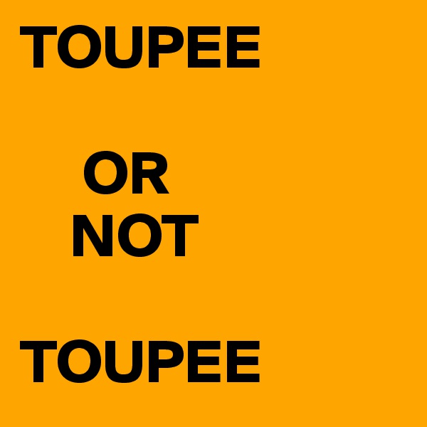TOUPEE

     OR 
    NOT

TOUPEE 