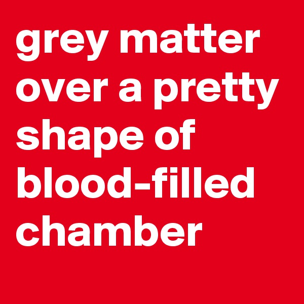grey matter over a pretty shape of blood-filled chamber  