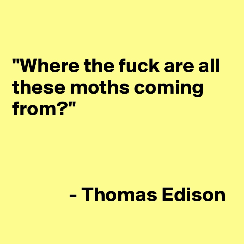 

"Where the fuck are all these moths coming from?"


  
              - Thomas Edison